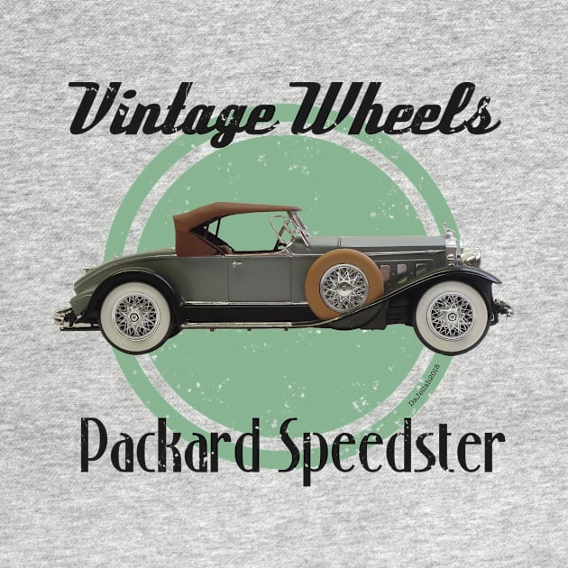 Vintage Wheels - Packard Boattail Speedster by DaJellah